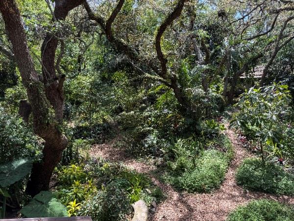 10927 N BOULEVARD, TAMPA, FL, 33612