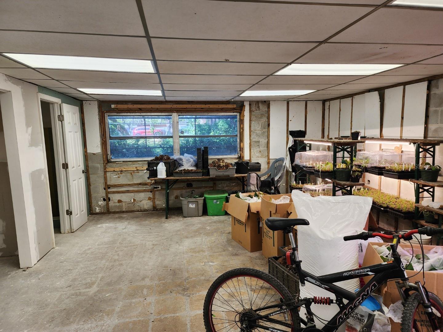 10927 N BOULEVARD, TAMPA, FL, 33612