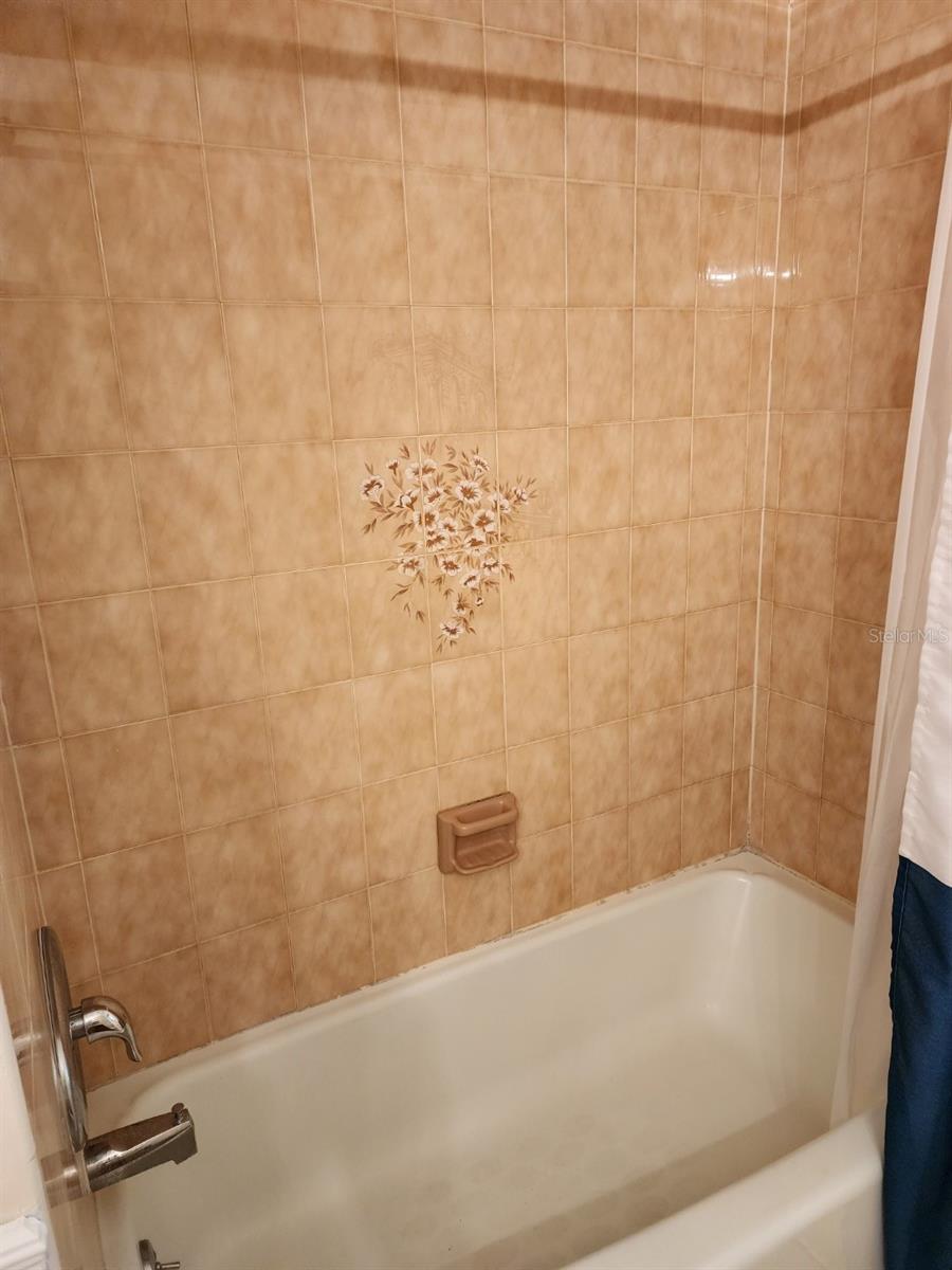 10927 N BOULEVARD, TAMPA, FL, 33612