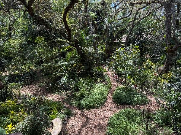 10927 N BOULEVARD, TAMPA, FL, 33612