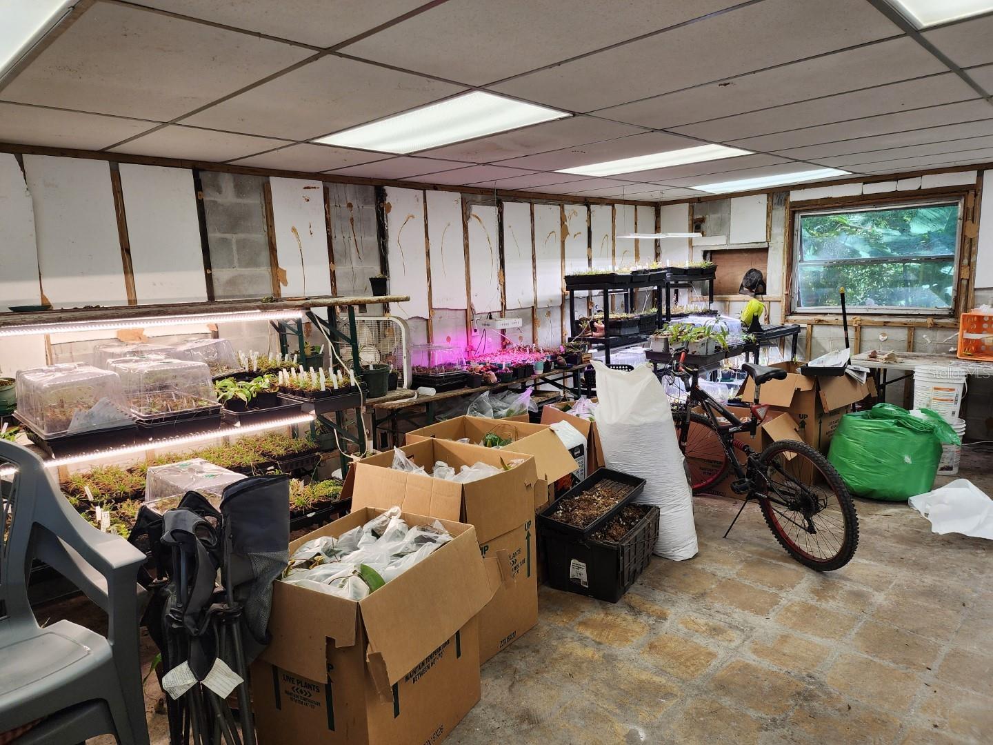 10927 N BOULEVARD, TAMPA, FL, 33612