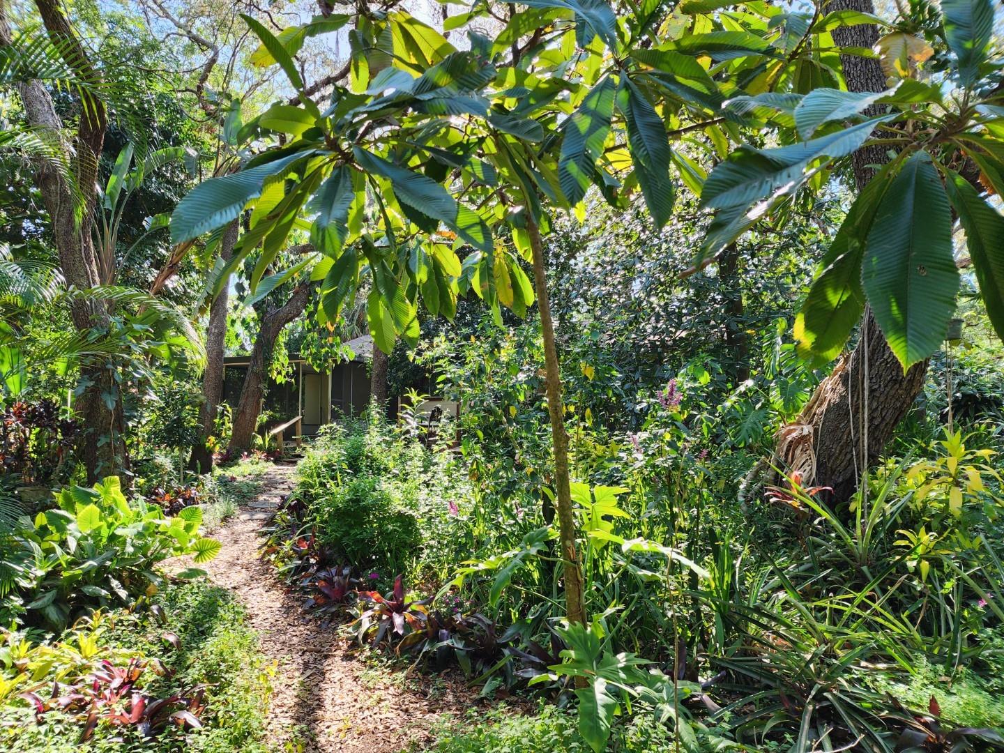 10927 N BOULEVARD, TAMPA, FL, 33612