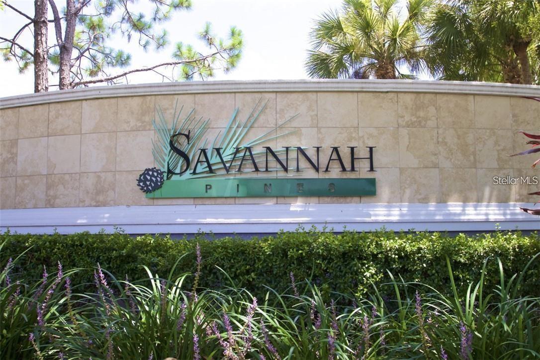 10703 SAVANNAH WOOD DR #216, ORLANDO, FL, 32832