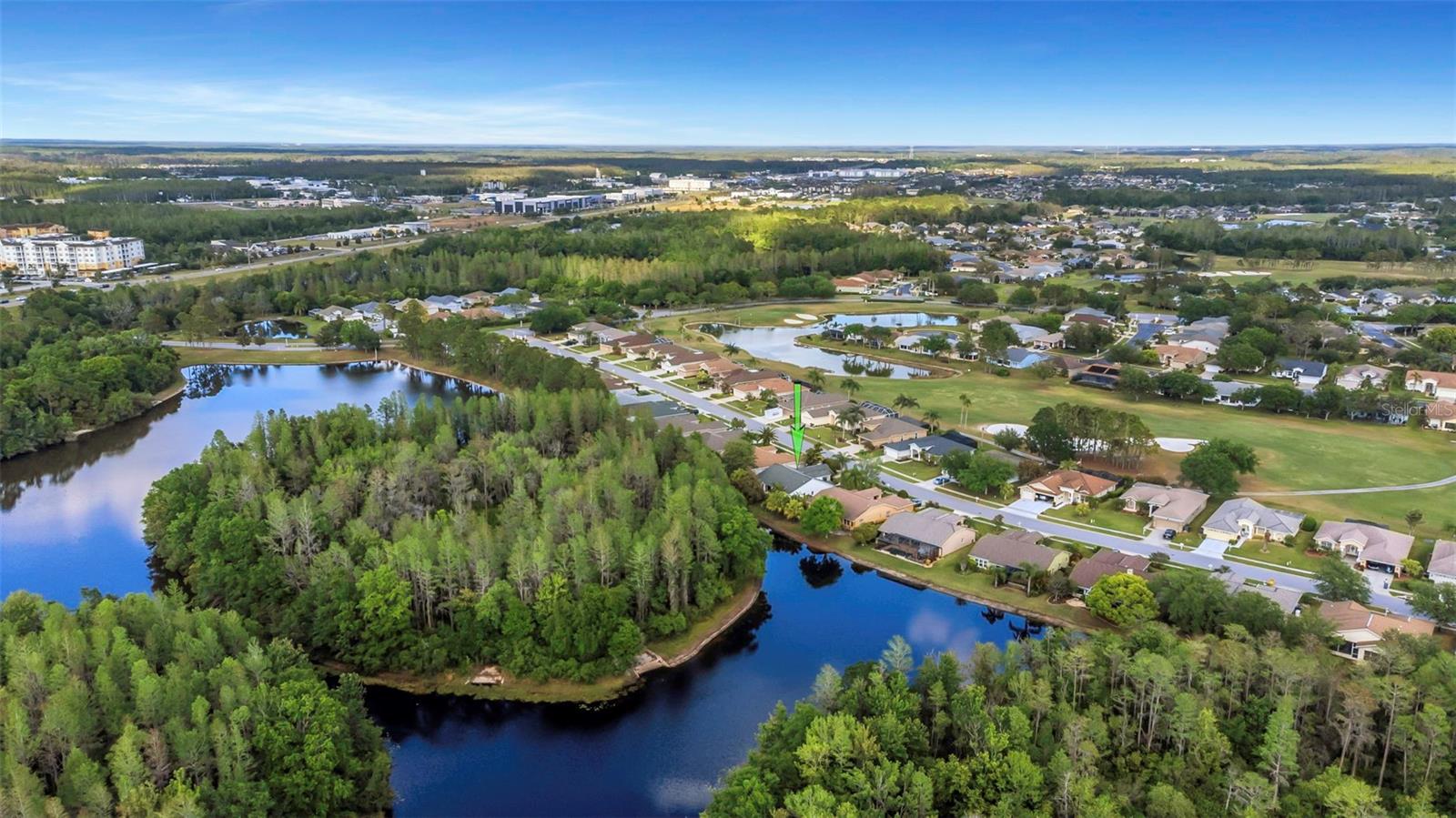 1517 MORNING ROSE PL, TRINITY, FL, 34655