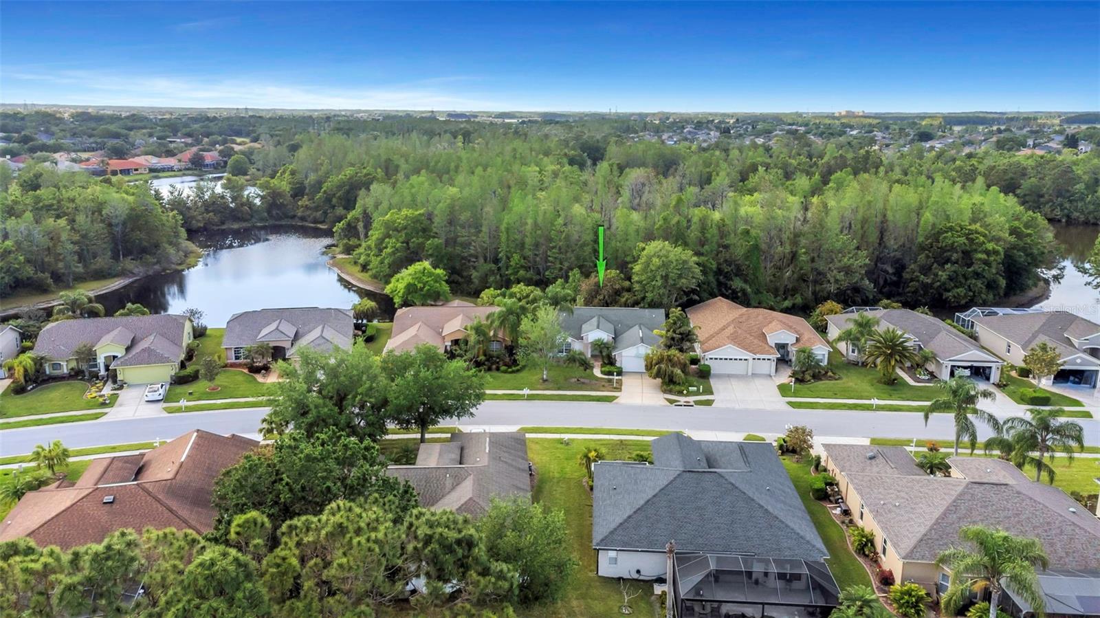 1517 MORNING ROSE PL, TRINITY, FL, 34655