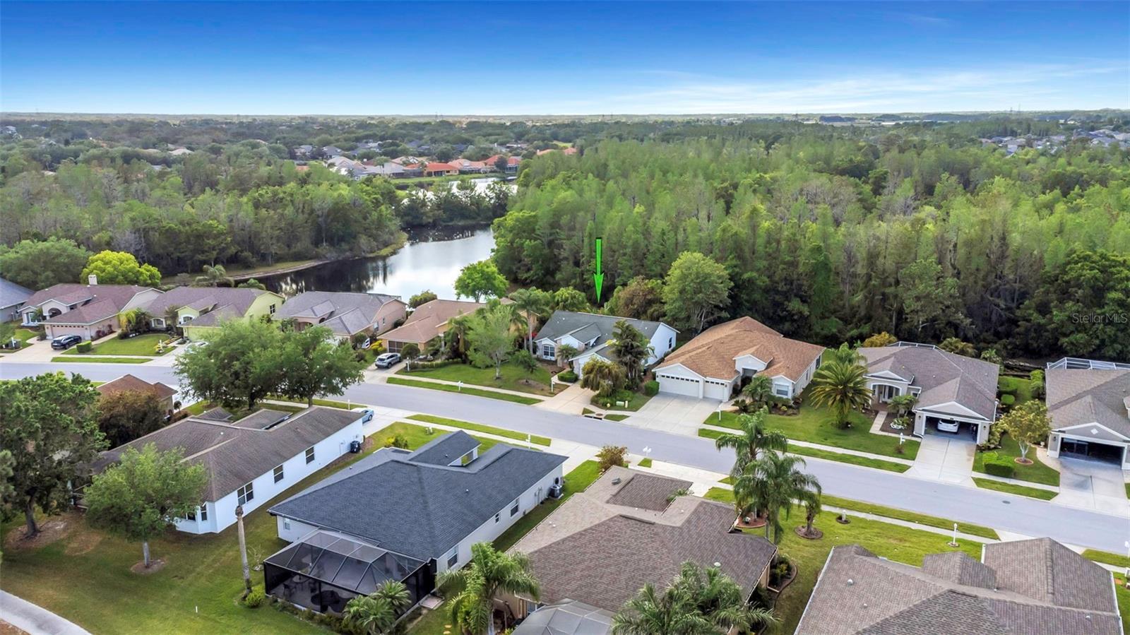 1517 MORNING ROSE PL, TRINITY, FL, 34655