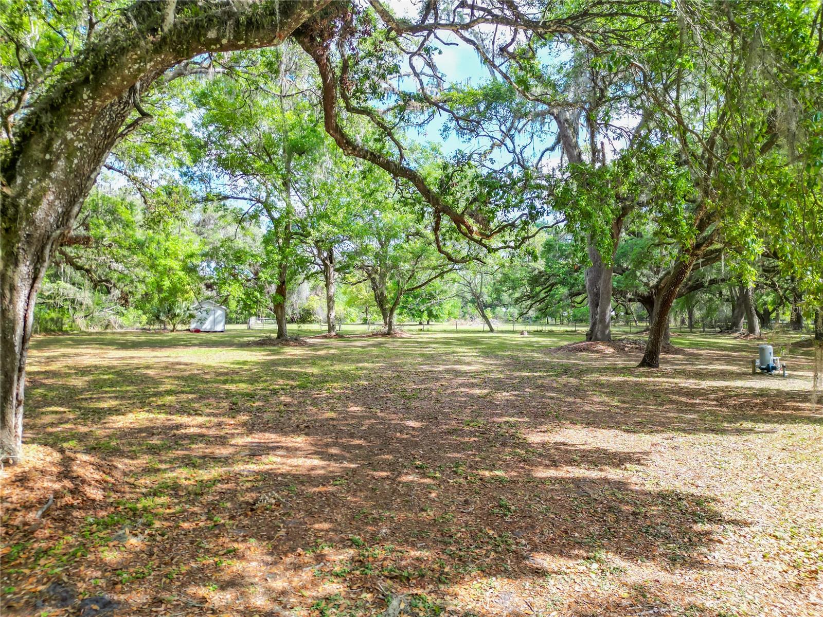 1406 CR 542G, BUSHNELL, FL, 33513