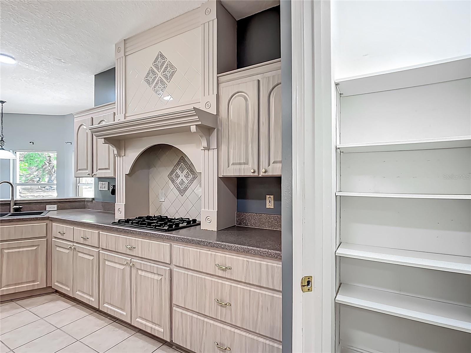 1406 CR 542G, BUSHNELL, FL, 33513