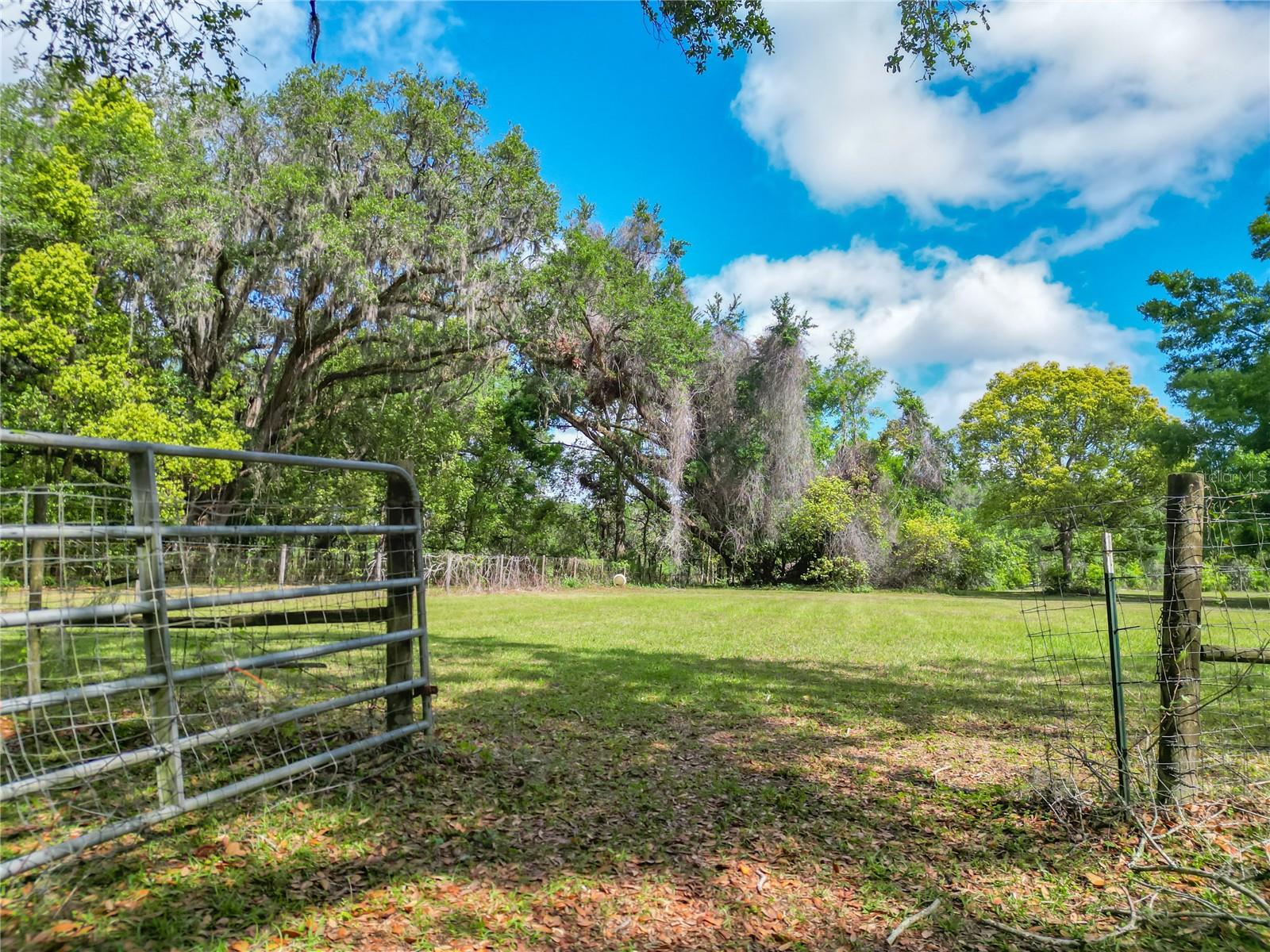 1406 CR 542G, BUSHNELL, FL, 33513