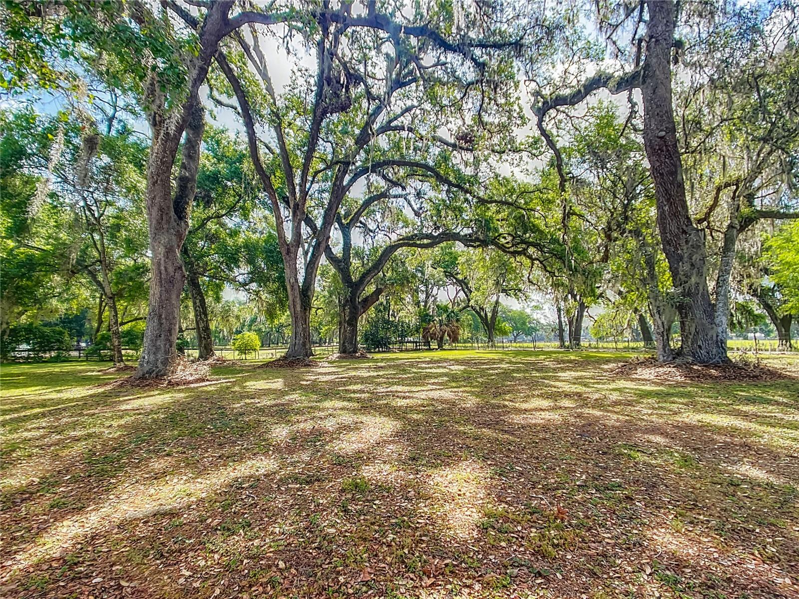 1406 CR 542G, BUSHNELL, FL, 33513