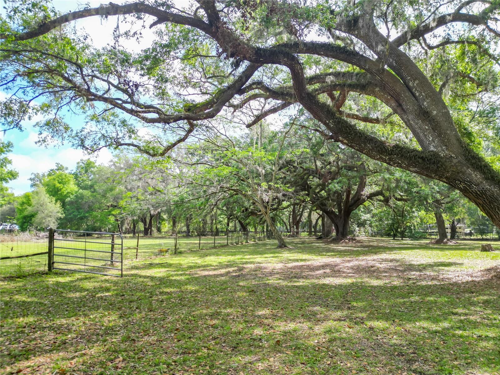 1406 CR 542G, BUSHNELL, FL, 33513