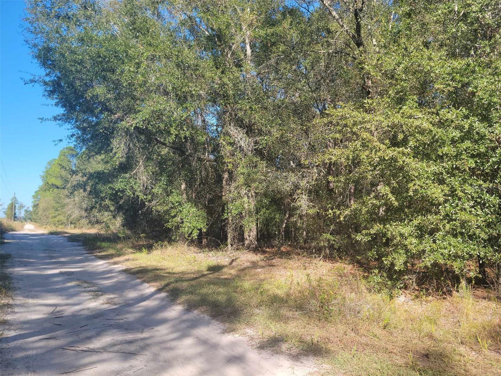 SW 61ST PLACE, NEWBERRY, FL, 32669