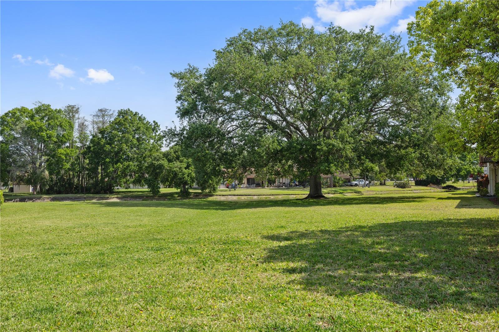 138 HUNTER LAKE DR #D, OLDSMAR, FL, 34677