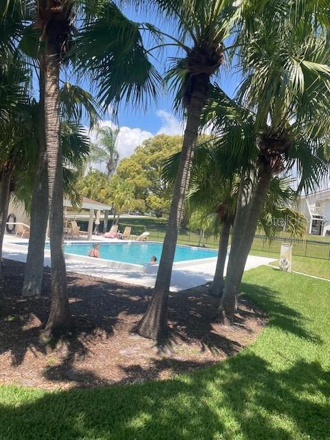 492 LAKEVIEW DR #40, PALM HARBOR, FL, 34683