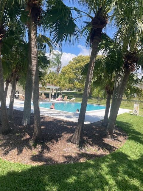 492 LAKEVIEW DR #40, PALM HARBOR, FL, 34683