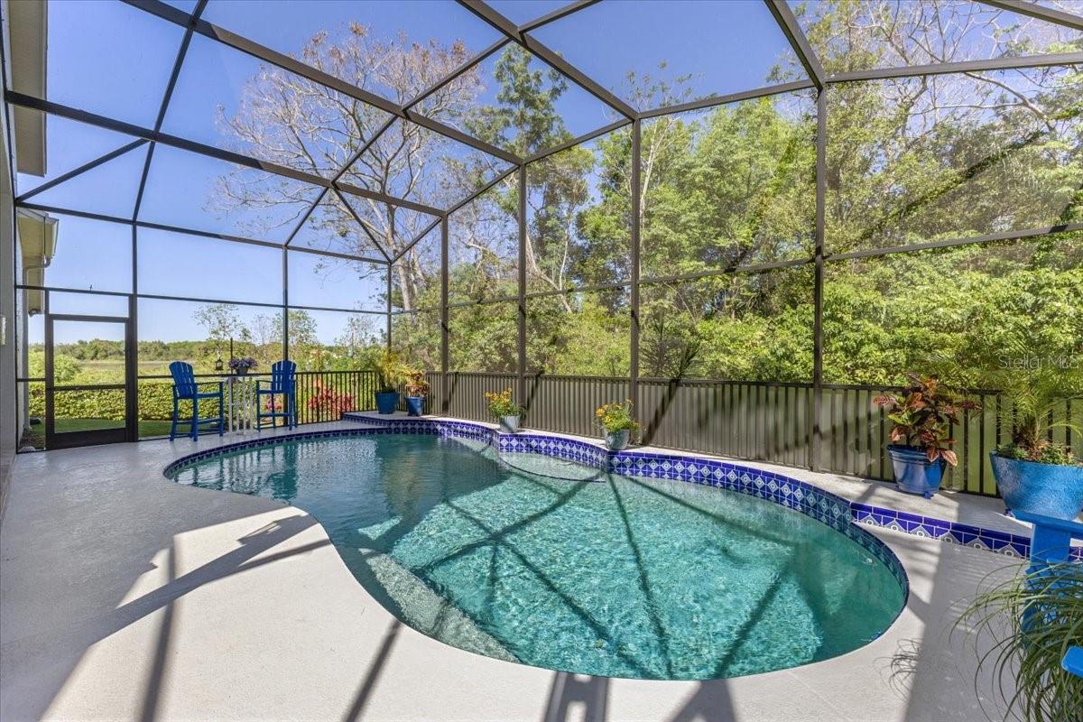 1137 PALM COVE DR, ORLANDO, FL, 32835