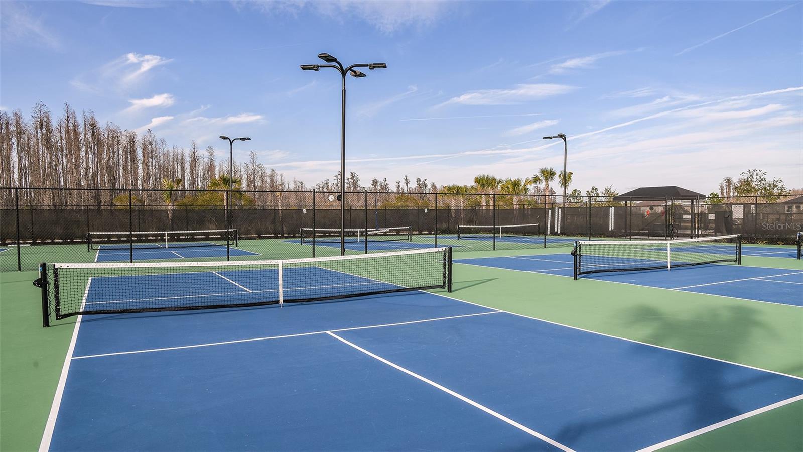 29477 VELLETRI LN, WESLEY CHAPEL, FL, 33543