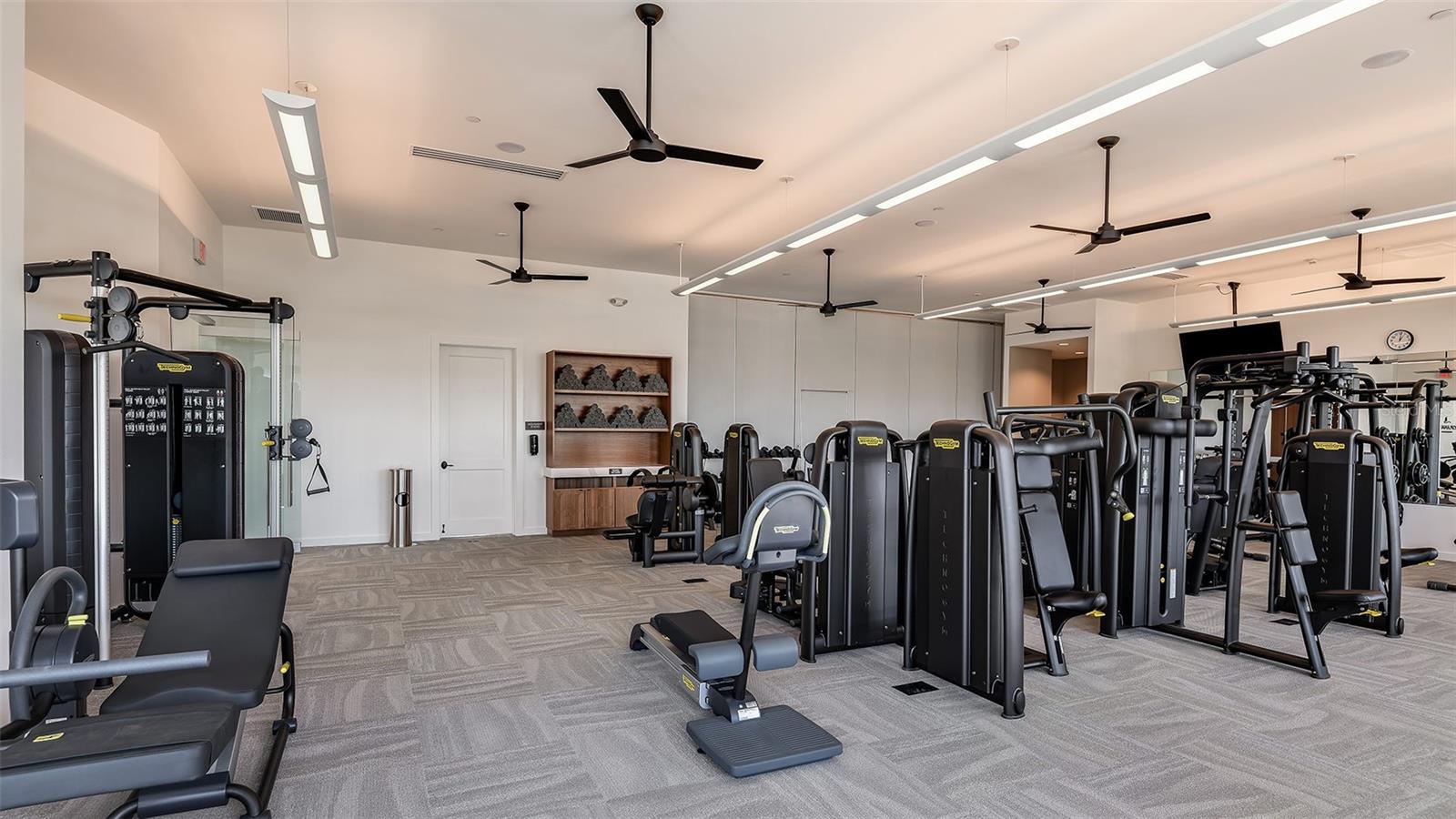 29477 VELLETRI LN, WESLEY CHAPEL, FL, 33543