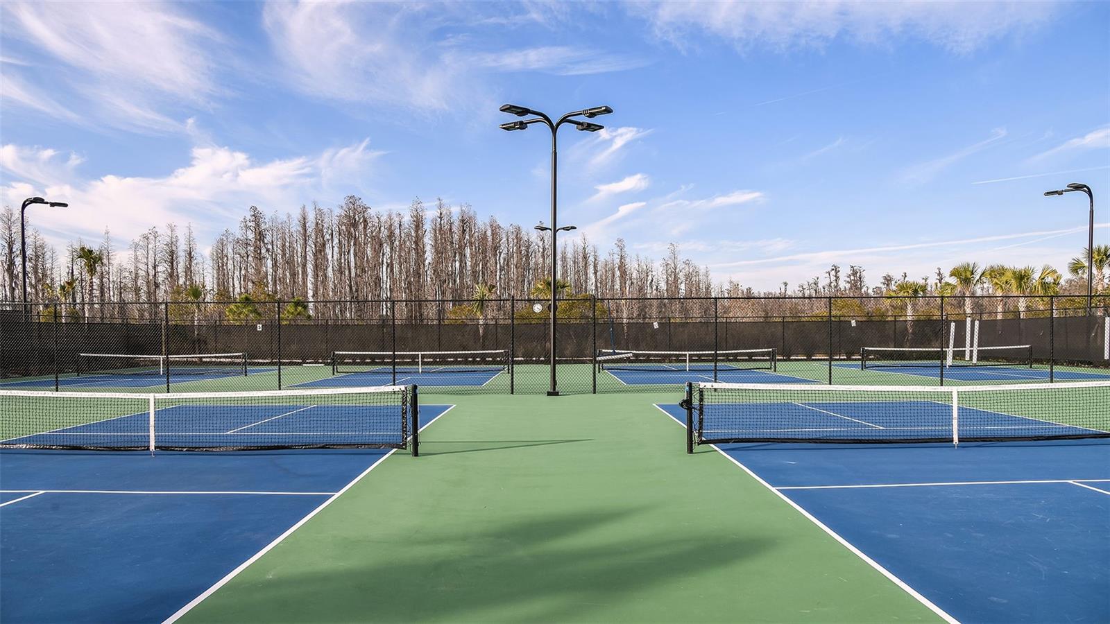 29477 VELLETRI LN, WESLEY CHAPEL, FL, 33543