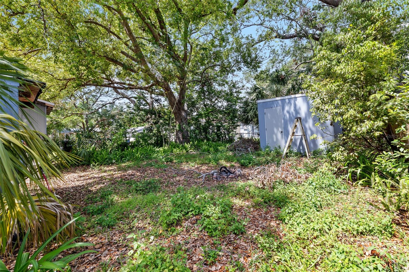 1591 S PROSPECT AVE, CLEARWATER, FL, 33756