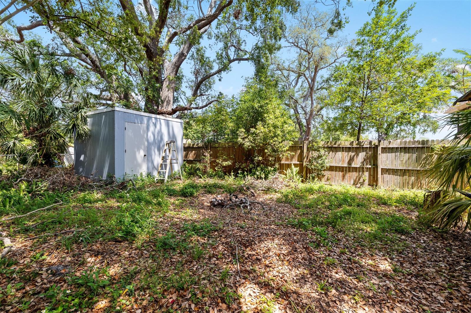 1591 S PROSPECT AVE, CLEARWATER, FL, 33756