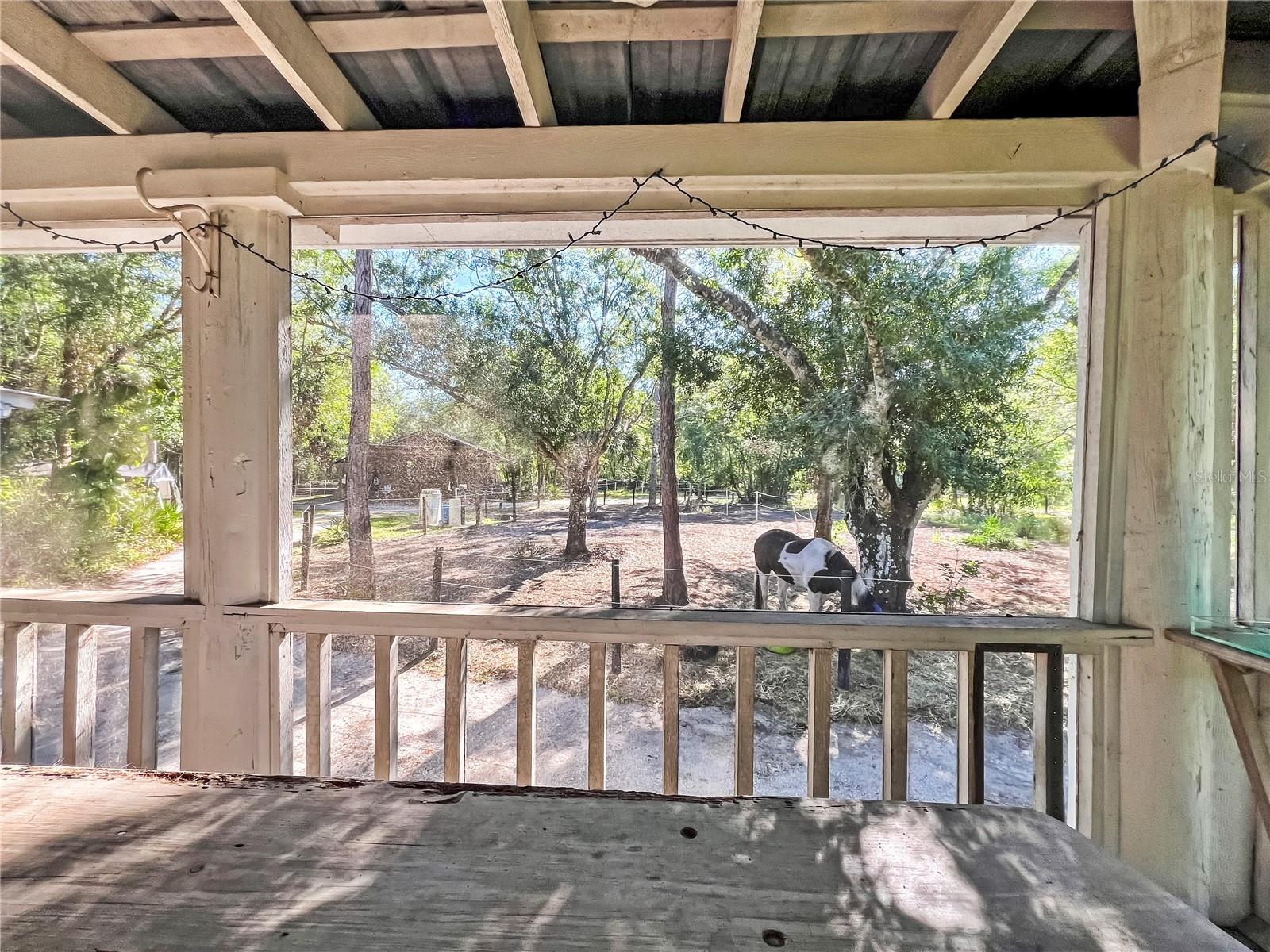 1170 SINCLAIR DR, SARASOTA, FL, 34240