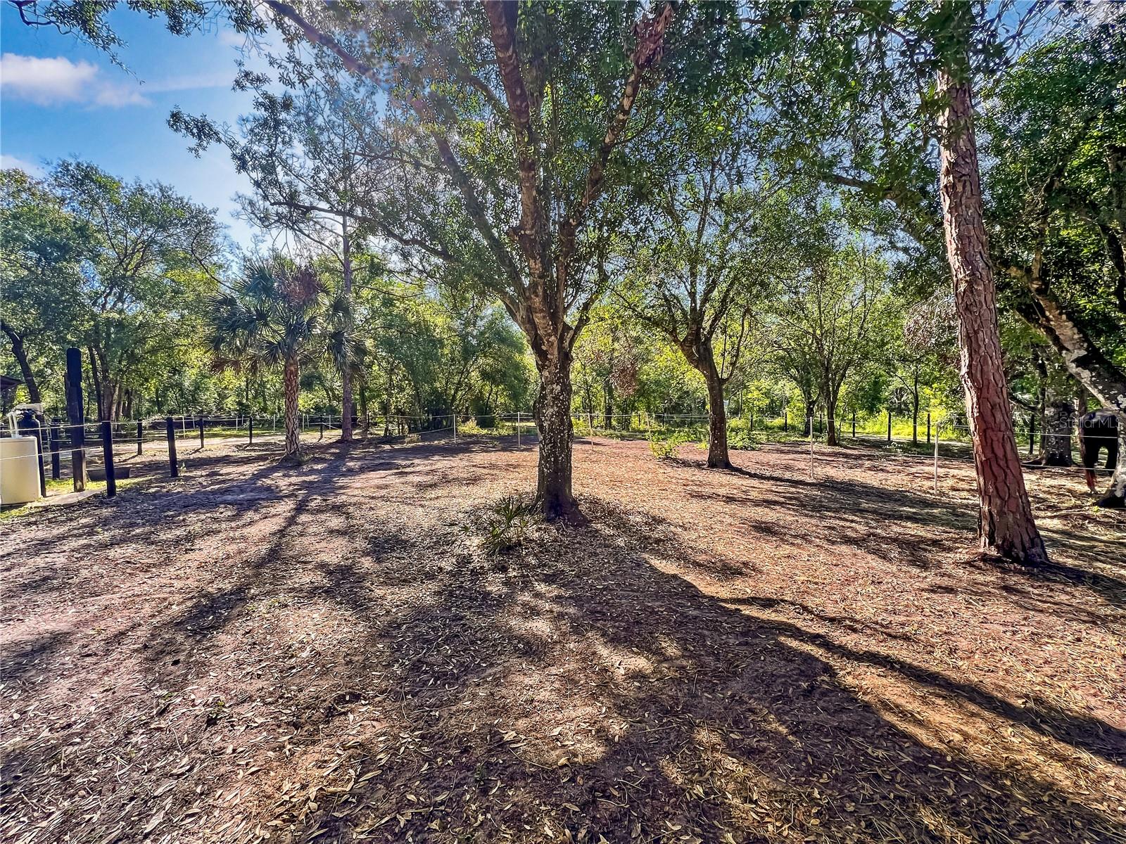 1170 SINCLAIR DR, SARASOTA, FL, 34240