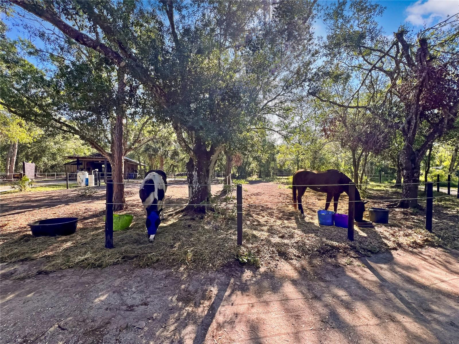 1170 SINCLAIR DR, SARASOTA, FL, 34240