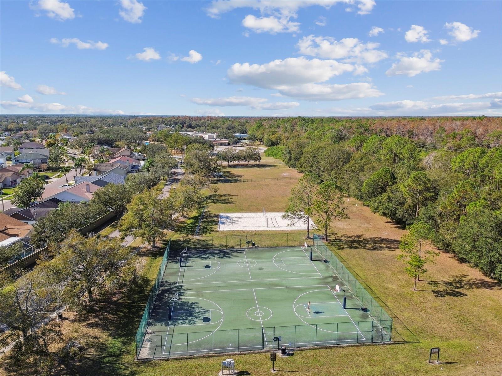11309 CLAYRIDGE DR, TAMPA, FL, 33635