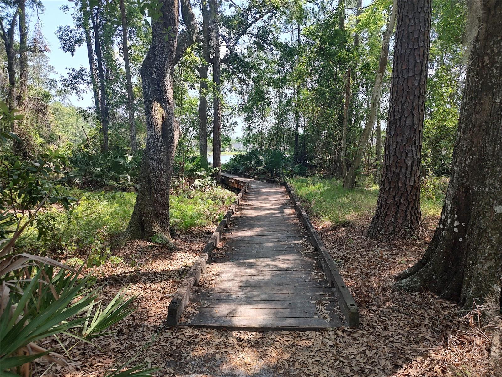 1816 LAKE FOREST LN, FLEMING ISLAND, FL, 32003