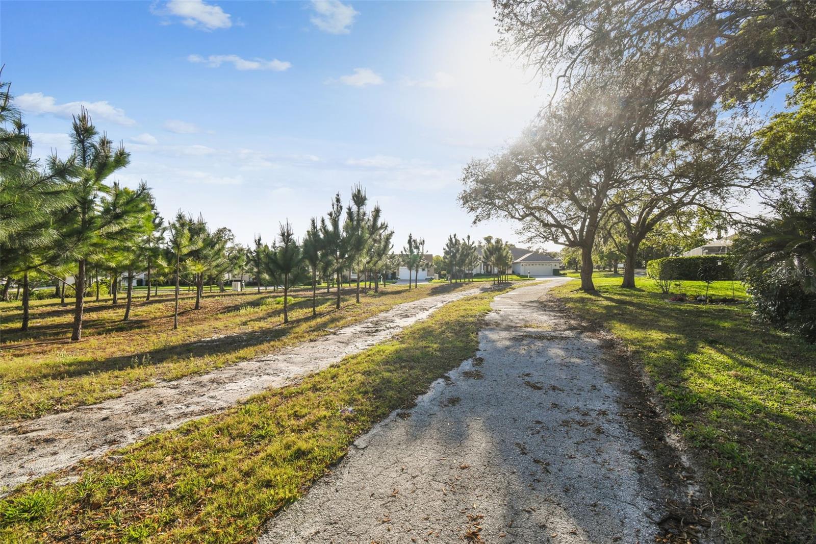 8818 POE DR, HUDSON, FL, 34667