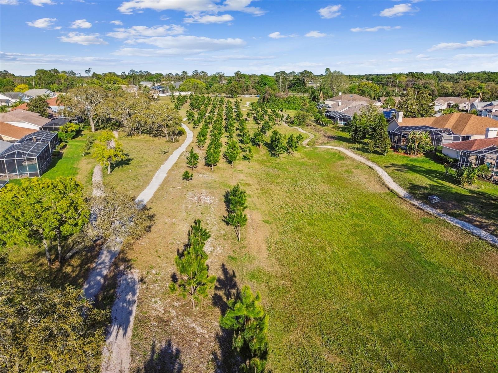 8818 POE DR, HUDSON, FL, 34667