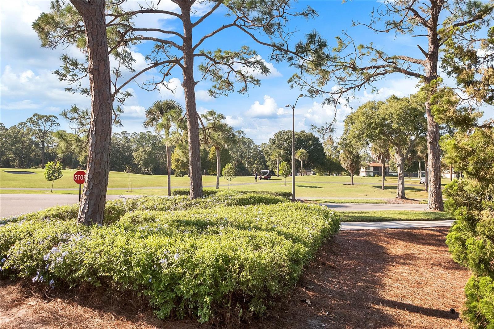 3617 CHERRY HILL DR, ORLANDO, FL, 32822