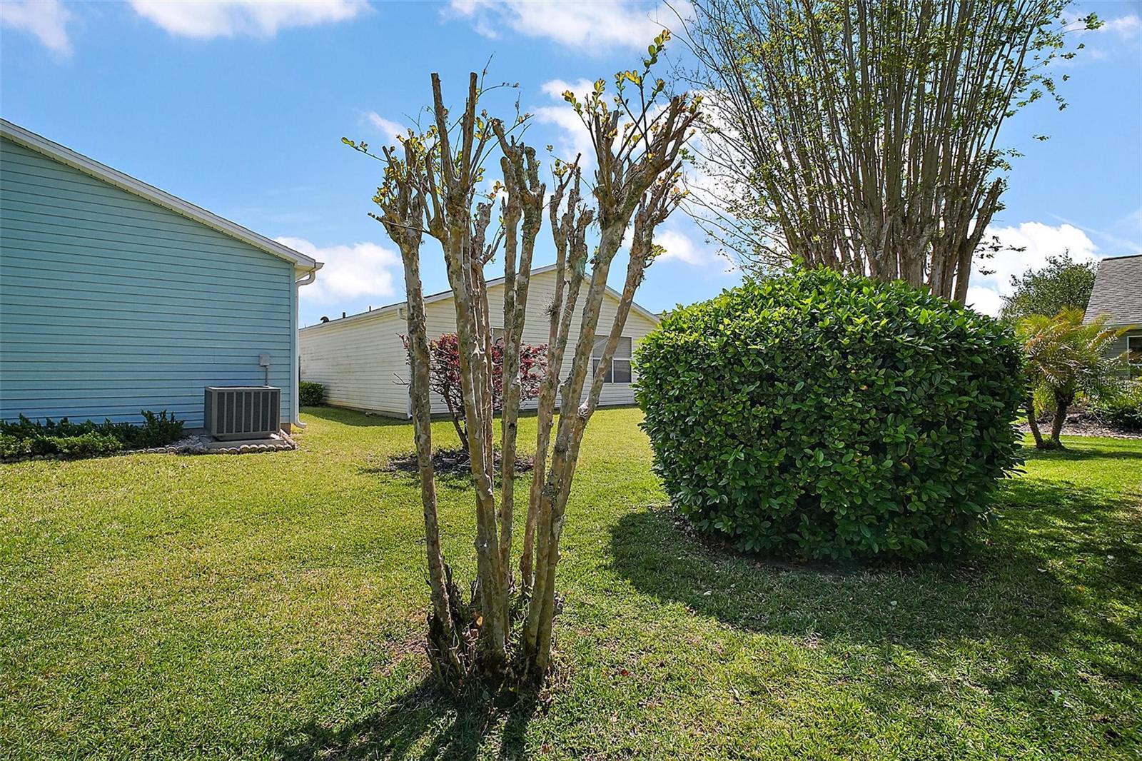 419 ALDAMA AVE, THE VILLAGES, FL, 32159
