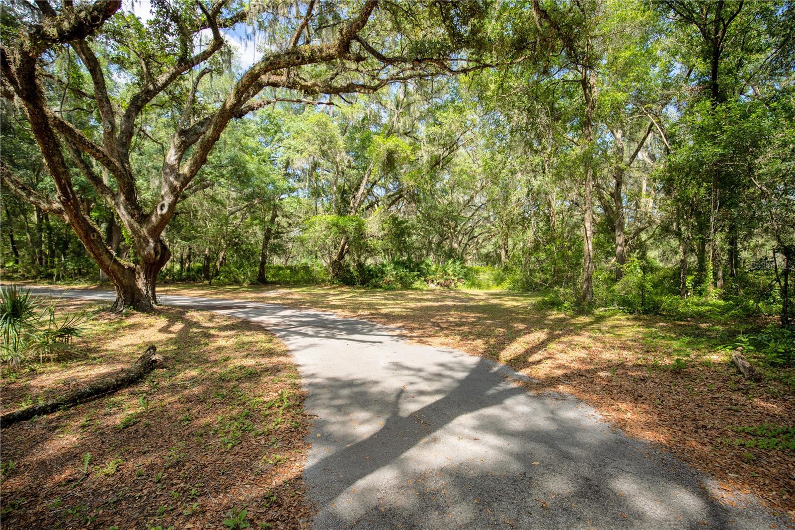 11795 SW HIGHWAY 484, DUNNELLON, FL, 34432