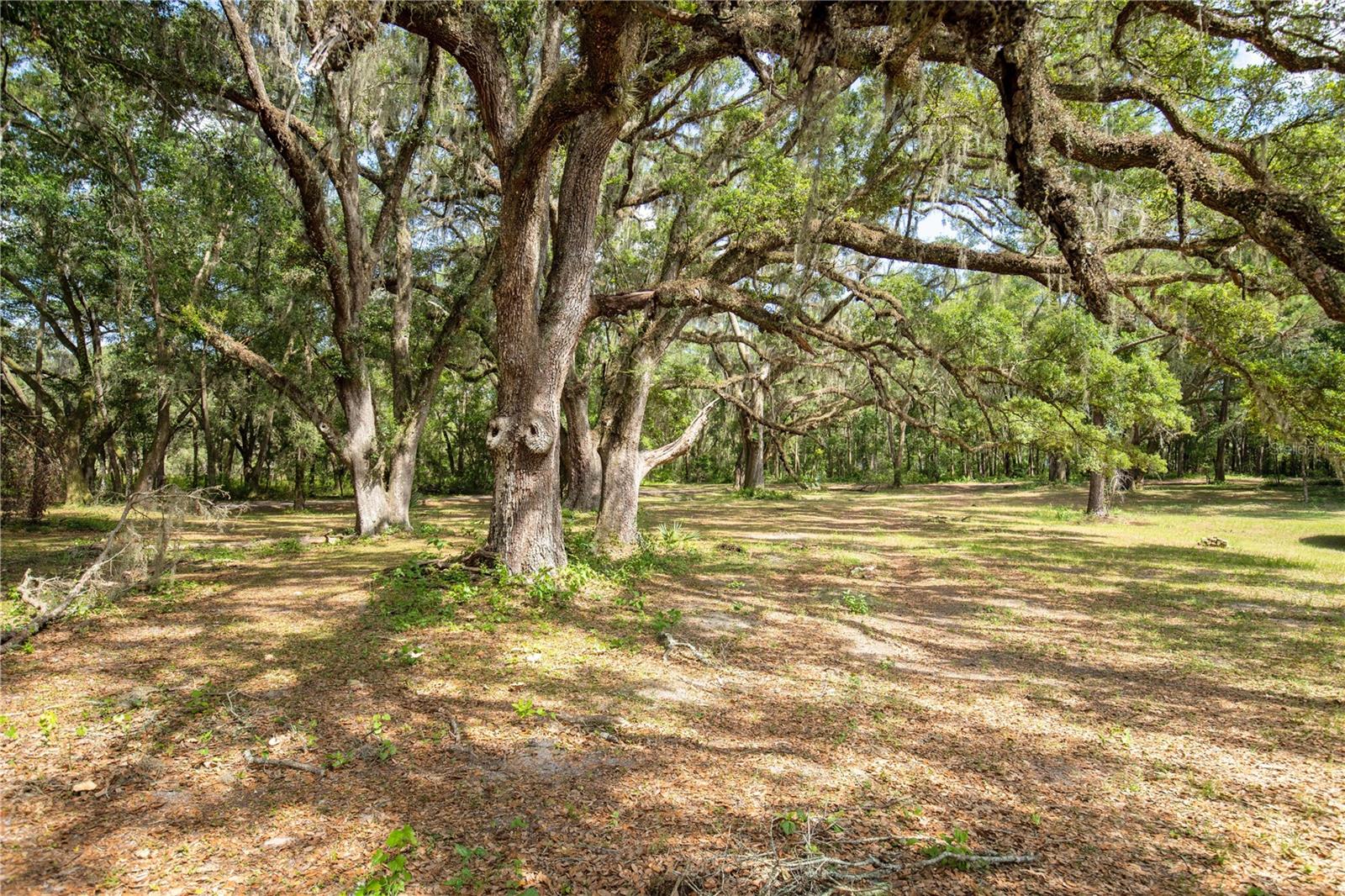 11795 SW HIGHWAY 484, DUNNELLON, FL, 34432