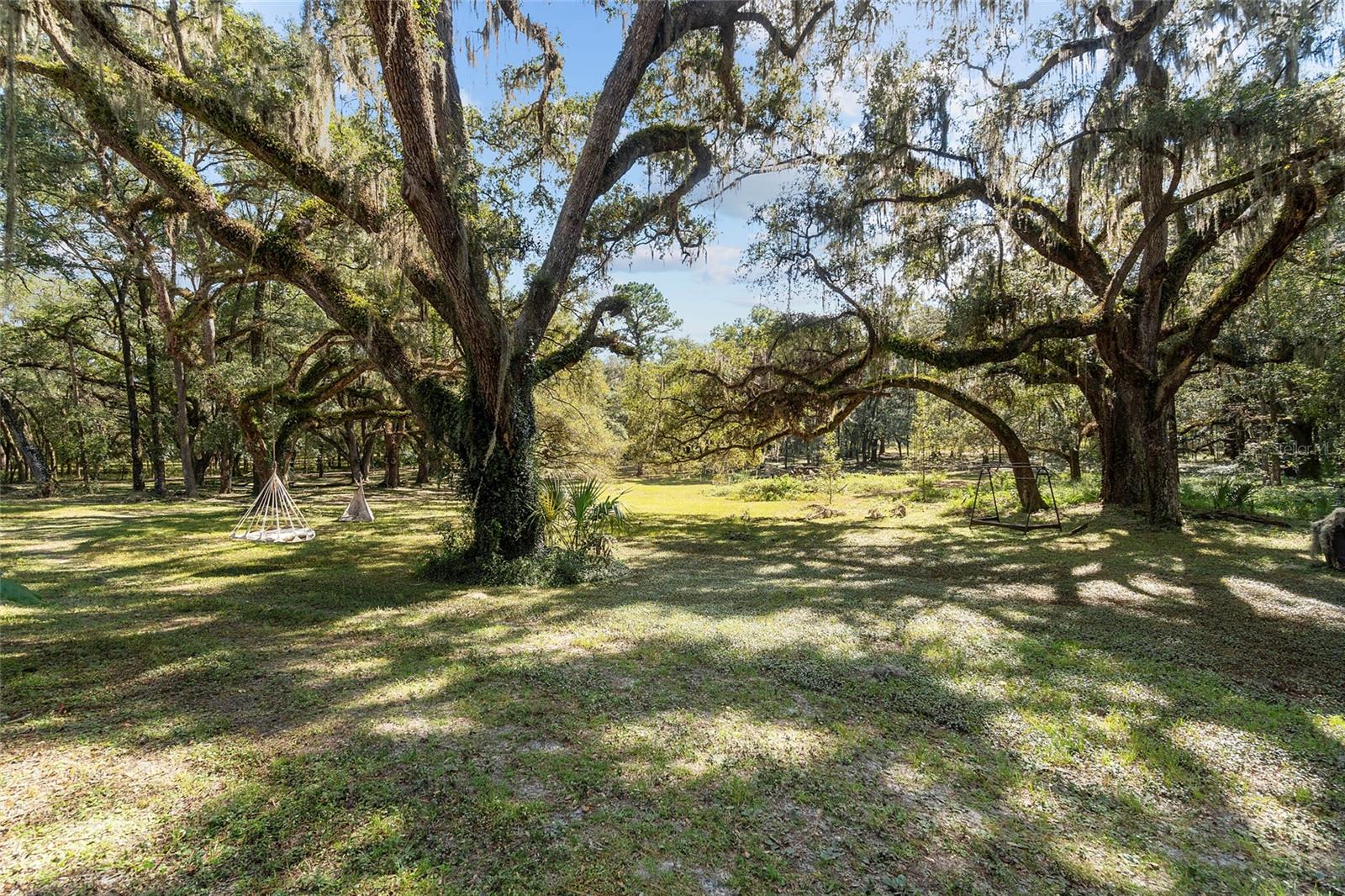 11795 SW HIGHWAY 484, DUNNELLON, FL, 34432