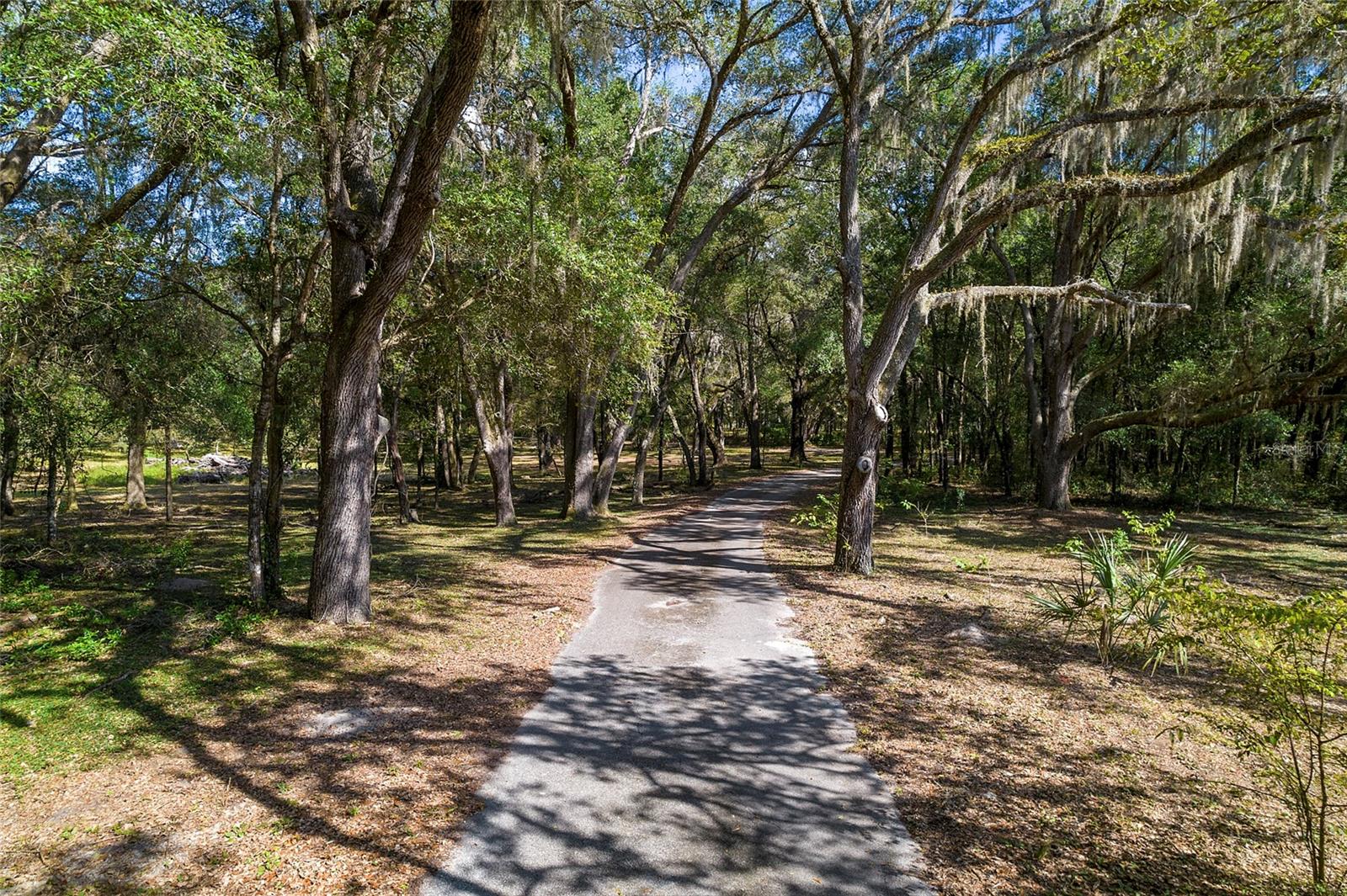 11795 SW HIGHWAY 484, DUNNELLON, FL, 34432