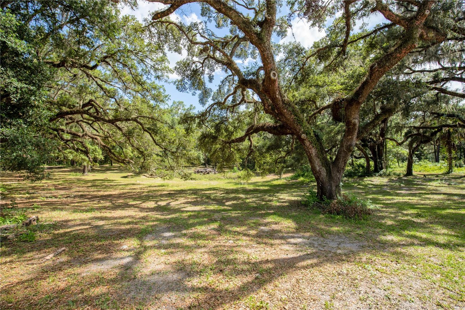 11795 SW HIGHWAY 484, DUNNELLON, FL, 34432