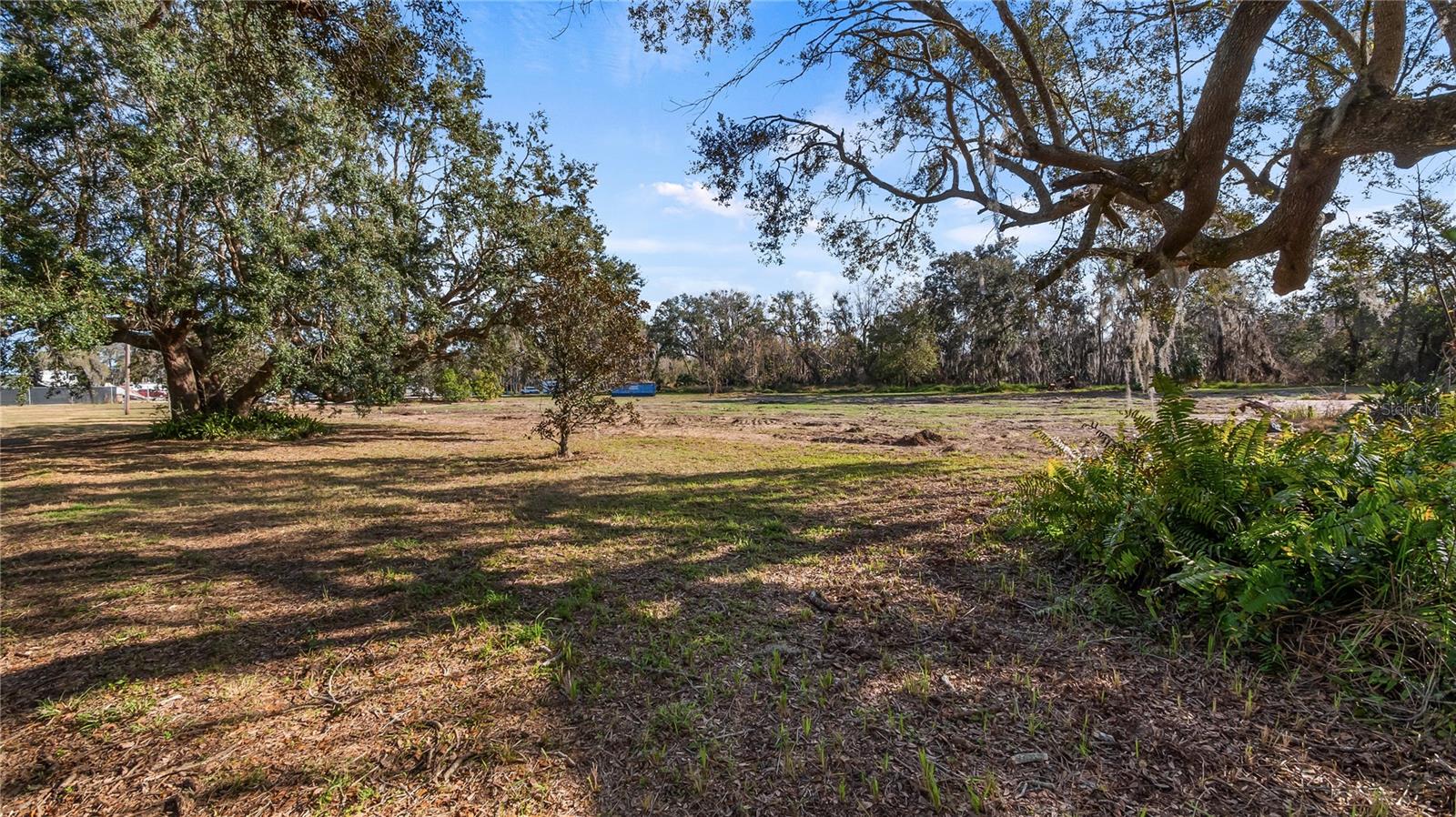 WOODLEA RD, TAVARES, FL, 32778