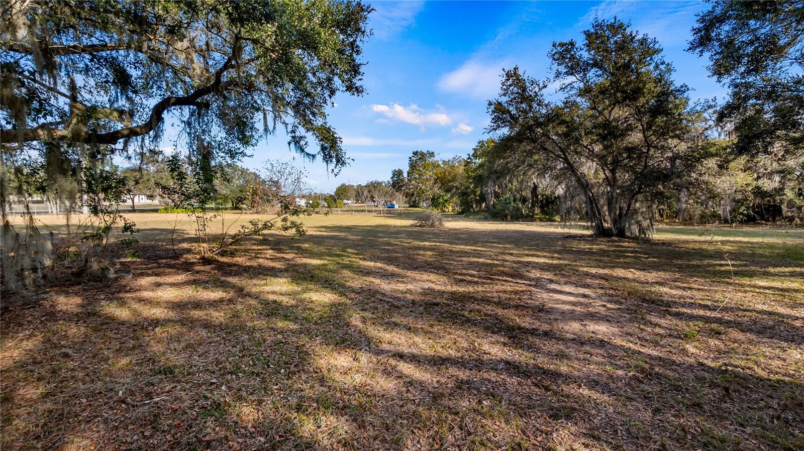 WOODLEA RD, TAVARES, FL, 32778