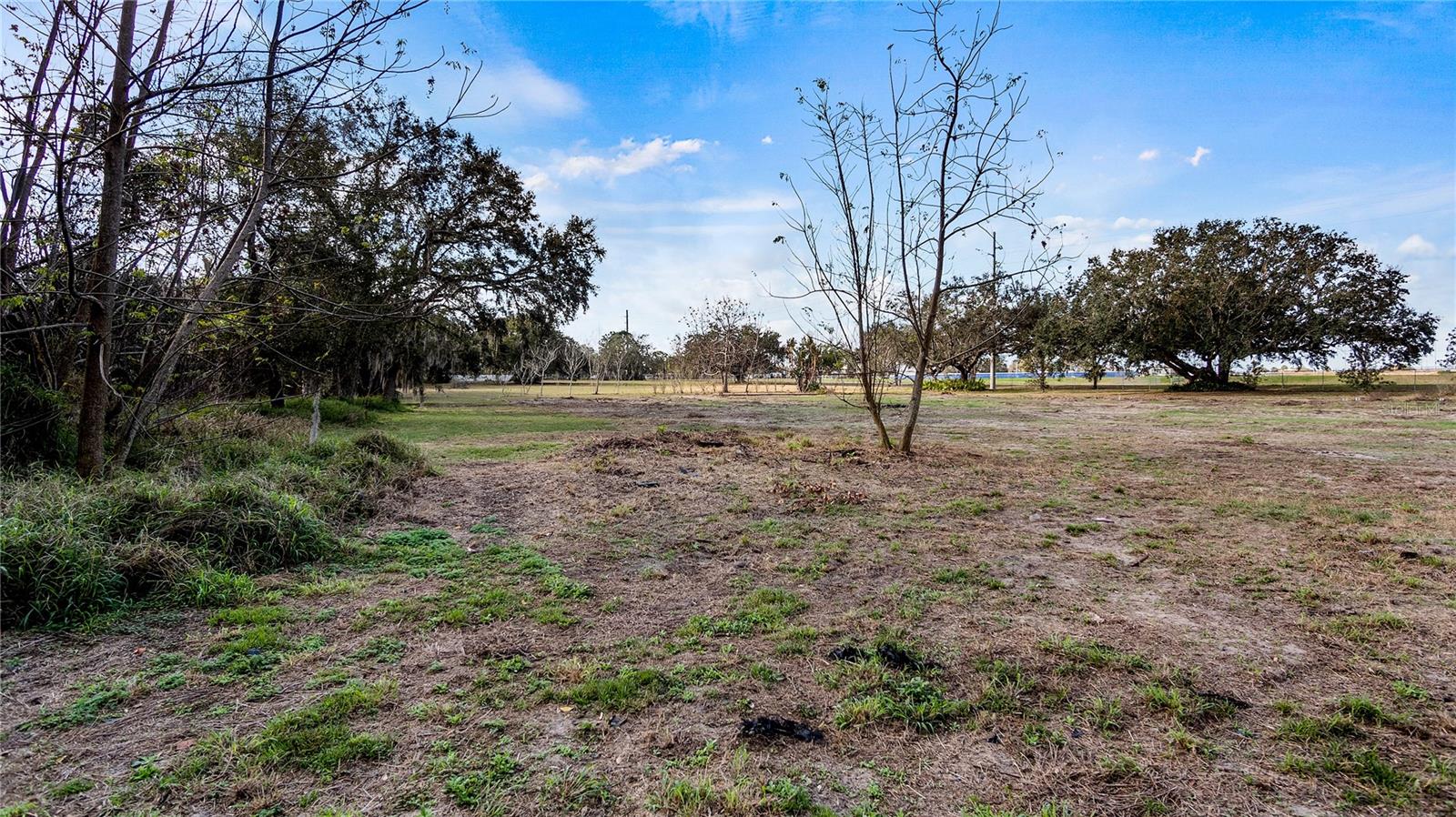 WOODLEA RD, TAVARES, FL, 32778