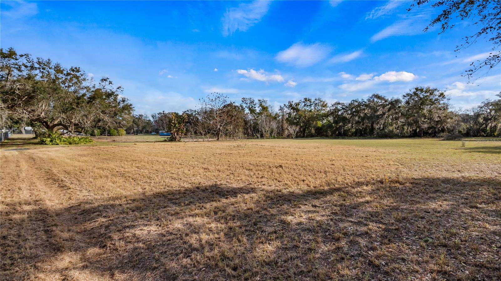 WOODLEA RD, TAVARES, FL, 32778