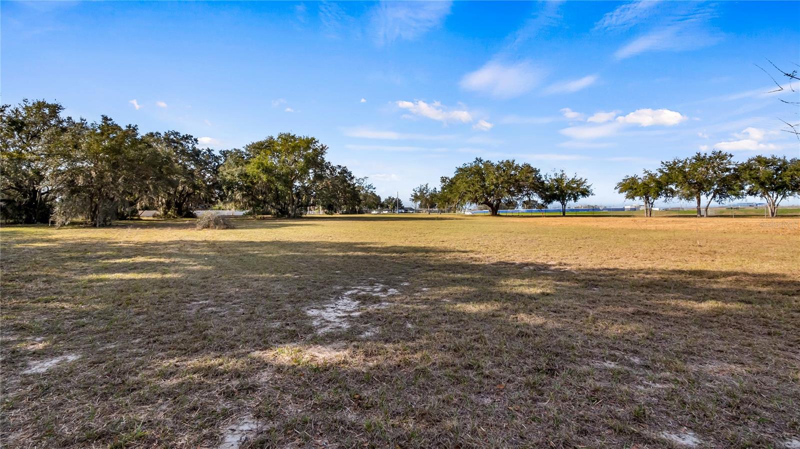 WOODLEA RD, TAVARES, FL, 32778