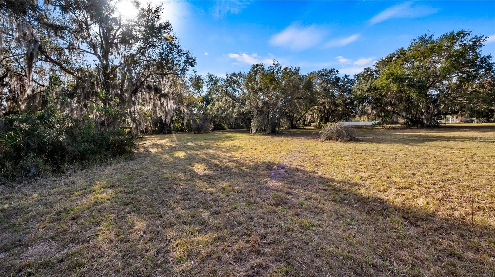 WOODLEA RD, TAVARES, FL, 32778