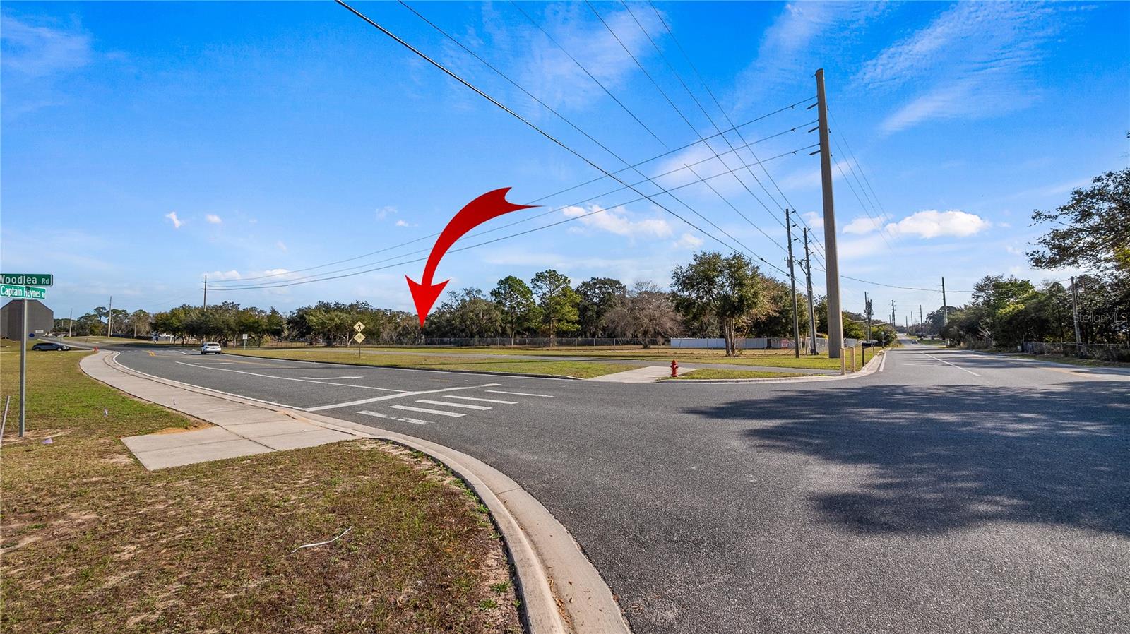 WOODLEA RD, TAVARES, FL, 32778