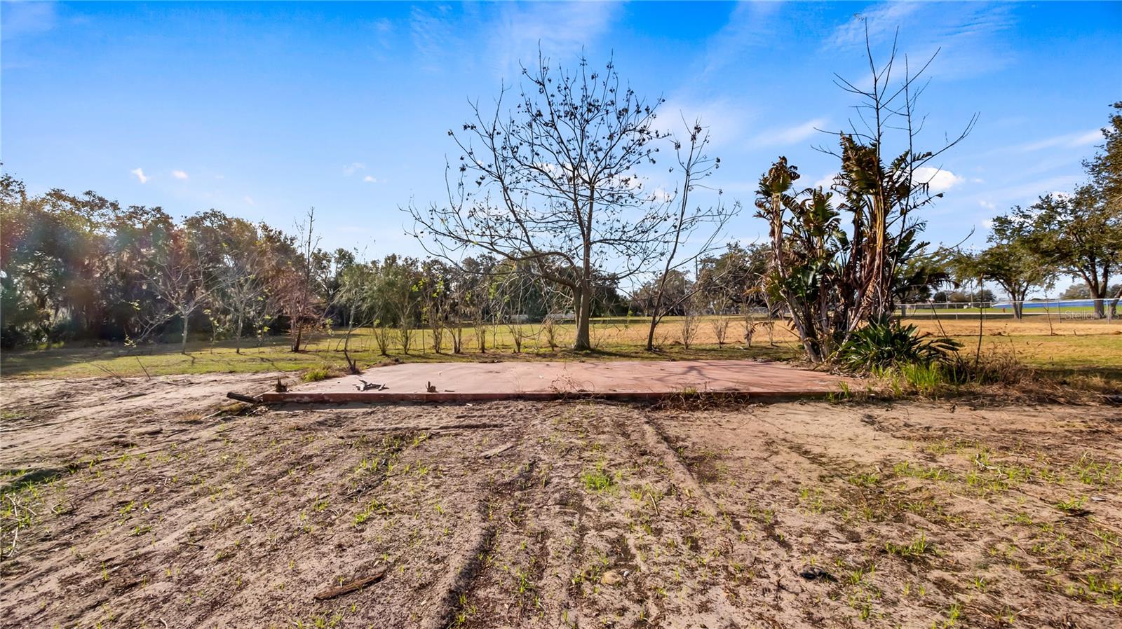 WOODLEA RD, TAVARES, FL, 32778