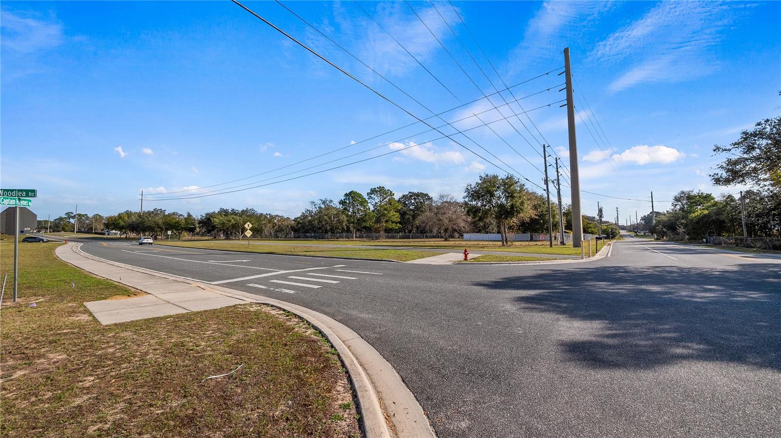 WOODLEA RD, TAVARES, FL, 32778