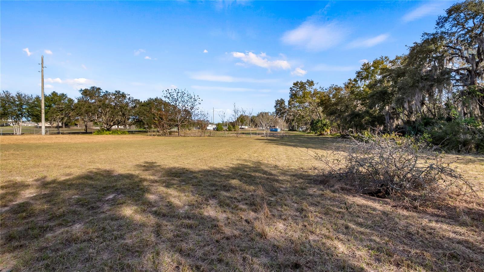 WOODLEA RD, TAVARES, FL, 32778