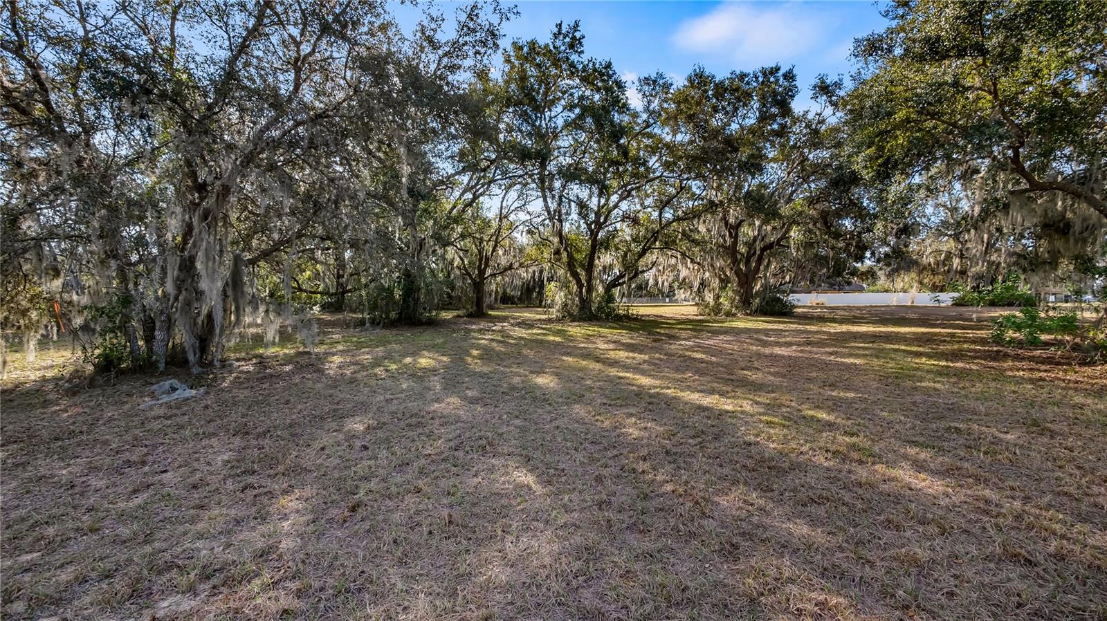 WOODLEA RD, TAVARES, FL, 32778